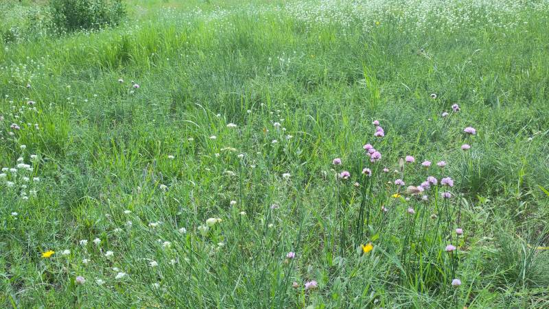 Bild der Woche