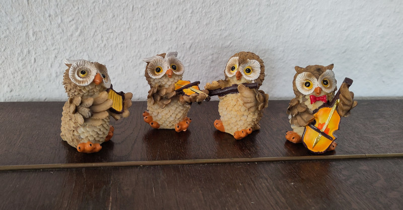 Bild der Woche